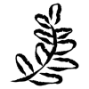 🌱 Эмодзи «𝖎𝖓𝖐 𝖋𝖑𝖔𝖜𝖊𝖗𝖘» для Telegram