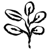 🌱 Эмодзи «𝖎𝖓𝖐 𝖋𝖑𝖔𝖜𝖊𝖗𝖘» для Telegram