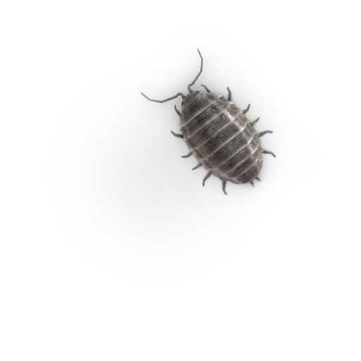 🐞 Стикер «Insects» для Telegram