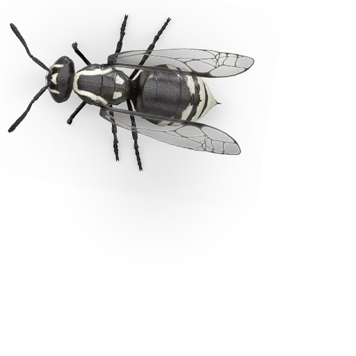 🐝 Стикер «Insects» для Telegram
