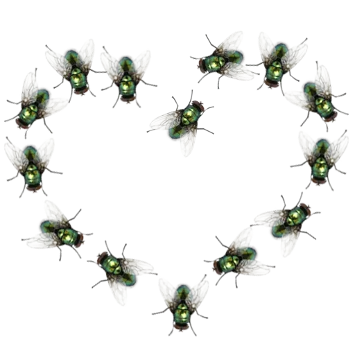 💚 Стикер «Insects» для Telegram