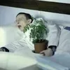 🌟 Эмодзи «Интерны ౨ৎ Cr» для Telegram