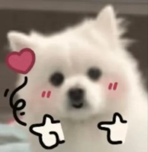 Стикерпак Inudog для Telegram — скачать