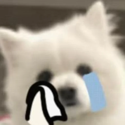 😭 Стикер «Inudog» для Telegram