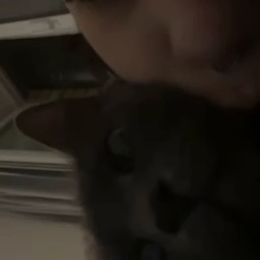 🐈‍⬛ Стикер «иришка» для Telegram