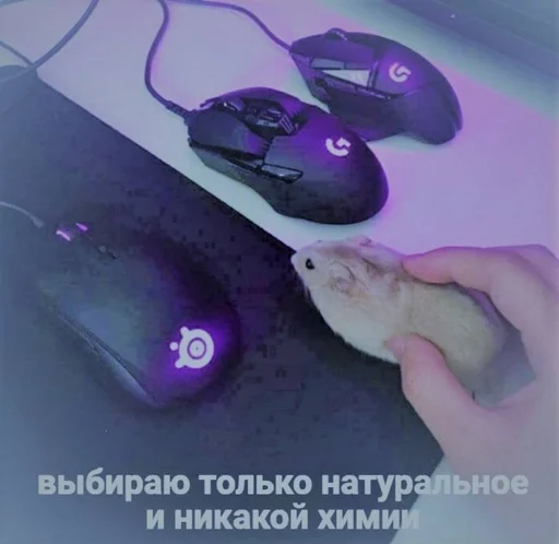 🌟 Стикер «IT3» для Telegram