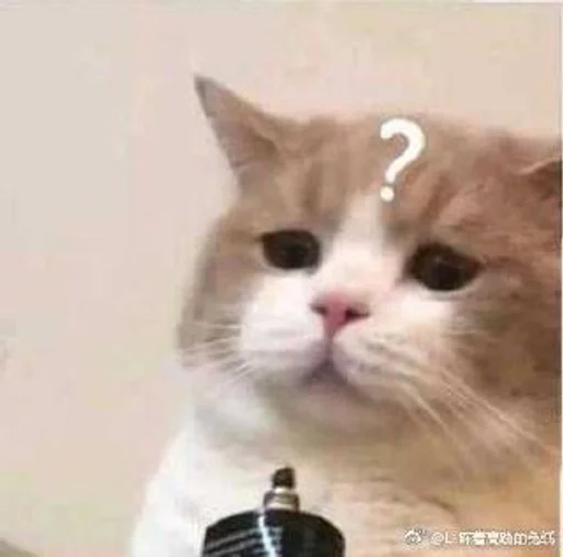 ❓ Стикер «коты флока» для Telegram