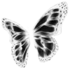 🦋 Эмодзи «Its Lit» для Telegram