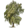 🌳 Эмодзи «??????????????????????????? ?? by» для Telegram