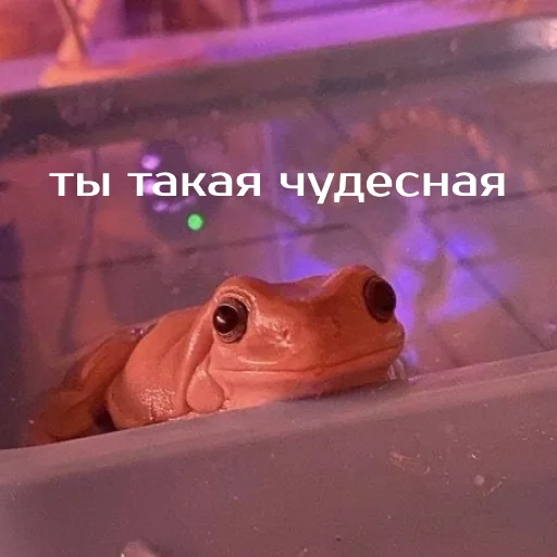 ❤️ Стикер «Легущьки «Горящей избы» для Telegram