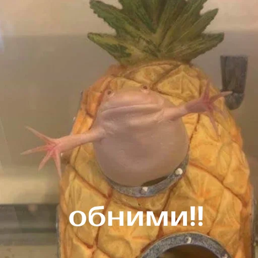 🤗 Стикер «Легущьки «Горящей избы» для Telegram