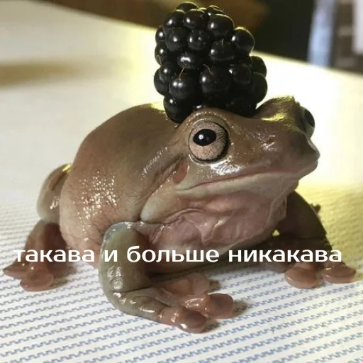 💅 Стикер «Легущьки «Горящей избы» для Telegram