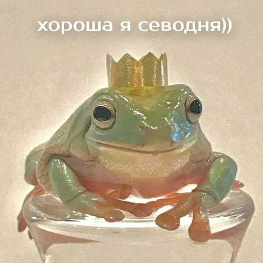👑 Стикер «Легущьки «Горящей избы» для Telegram