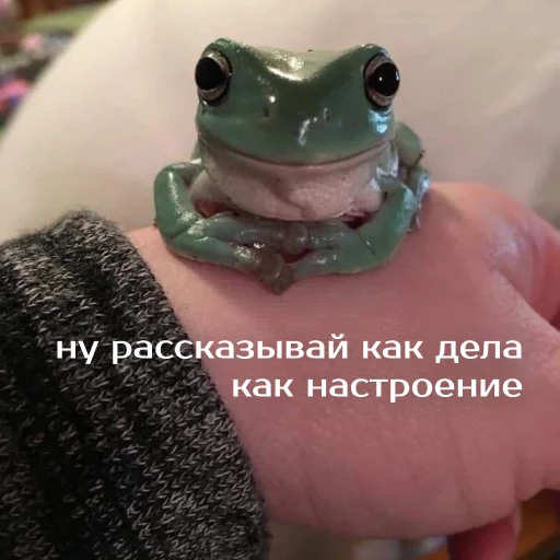 👋 Стикер «Легущьки «Горящей избы» для Telegram
