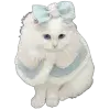 🫥 Эмодзи «Random #random #cute #girl #status» для Telegram