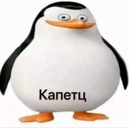 😊 Стикер «Чел ты» для Telegram