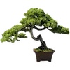 🌳 Эмодзи «⠀ ⠀ ⠀Японский вайб» для Telegram