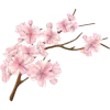 🤩 Эмодзи «Japan vibe #vibe #cute» для Telegram