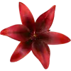 🤩 Эмодзи «Japan vibe #vibe #cute» для Telegram