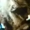 🔪 Эмодзи «Джейсон и Майкл #film» для Telegram