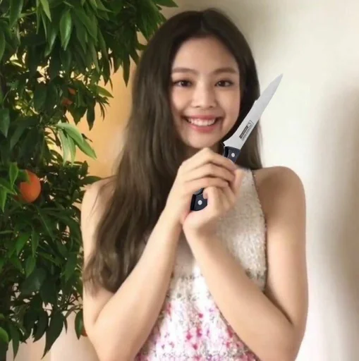 💫 Стикер «jennie meme» для Telegram