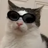 🐈 Эмодзи «Cats #cat #animal #cute #memes» для Telegram