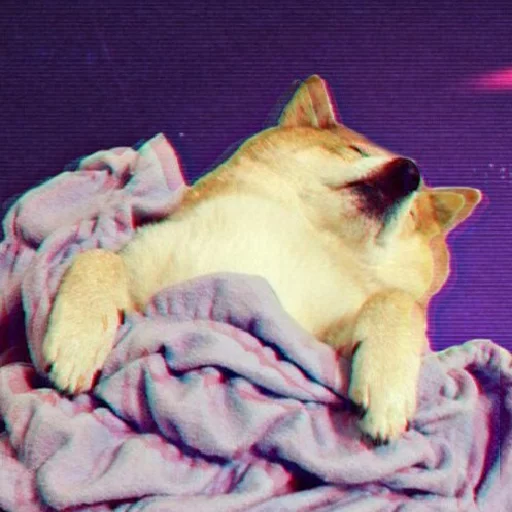 🌚 Стикер «JiBotnbie (животные)» для Telegram