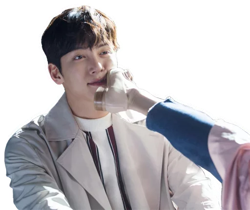😵 Стикер «Ji Chang Wook» для Telegram