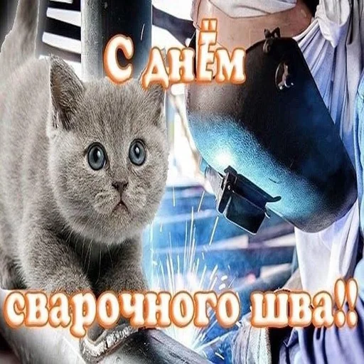🙄 Стикер «С днем говна» для Telegram