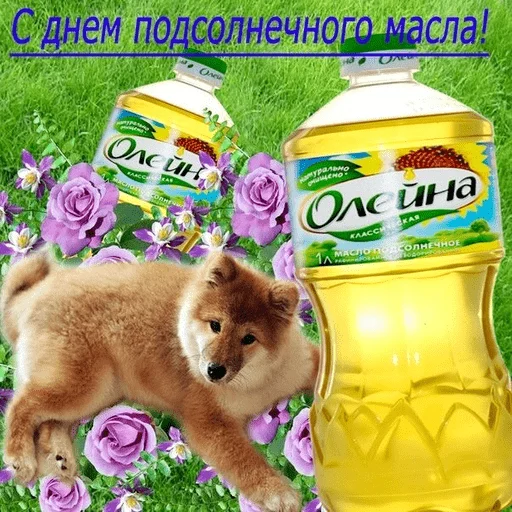 🤩 Стикер «С днем говна» для Telegram