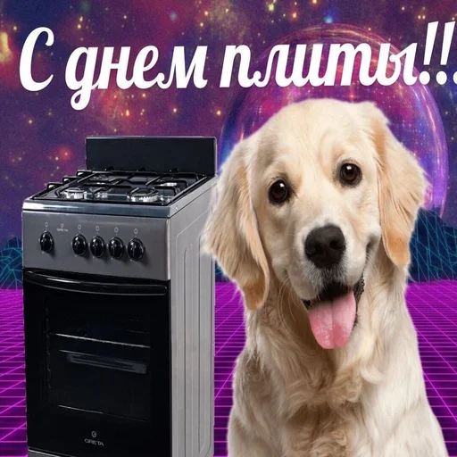 🤓 Стикер «С днем говна» для Telegram