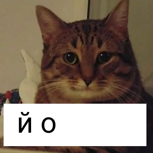 🥵 Стикер «йой, най буде» для Telegram