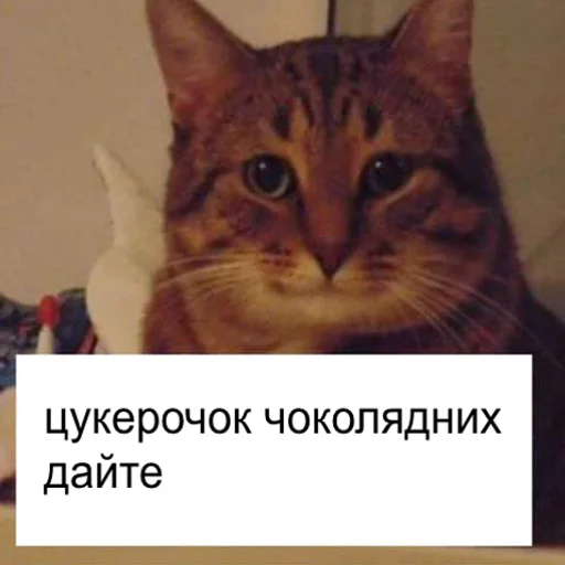 🙂 Стикер «йой, най буде» для Telegram