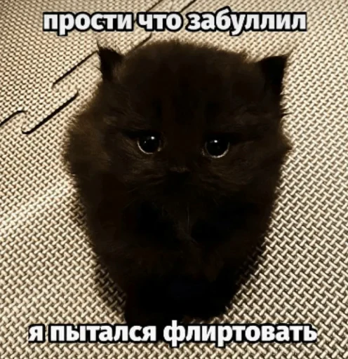 🤩 Стикер «devens files» для Telegram