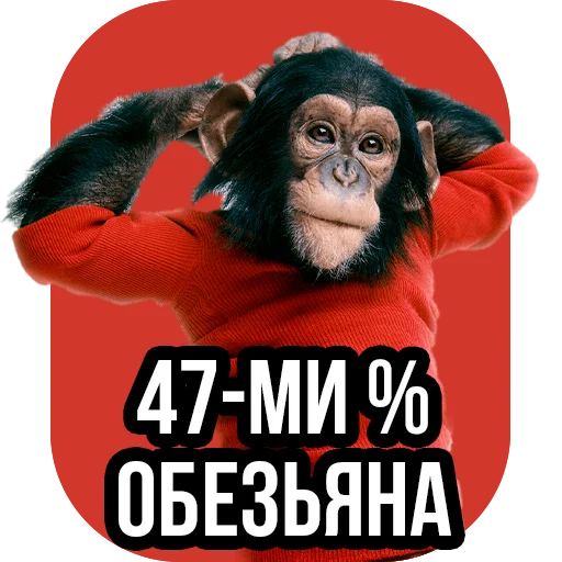 🙊 Стикер «Jove» для Telegram
