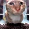 😒 Эмодзи «Mrfresh» для Telegram