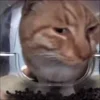 🥴 Эмодзи «Mrfresh» для Telegram