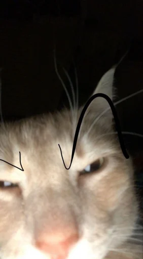 😾 Стикер «julik» для Telegram