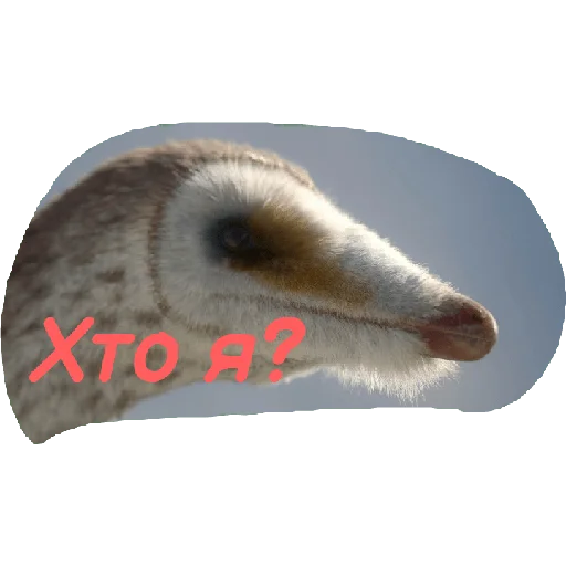 🤐 Стикер «Jurassic era» для Telegram