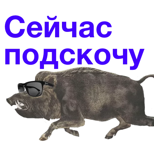 🐗 Стикер «Kabanchikom» для Telegram