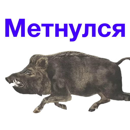 🏃 Стикер «Kabanchikom» для Telegram