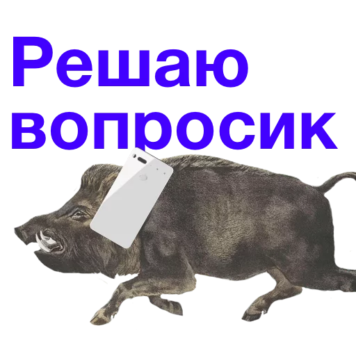 📱 Стикер «Kabanchikom» для Telegram