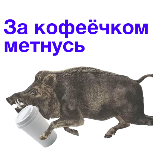 ☕ Стикер «Kabanchikom» для Telegram