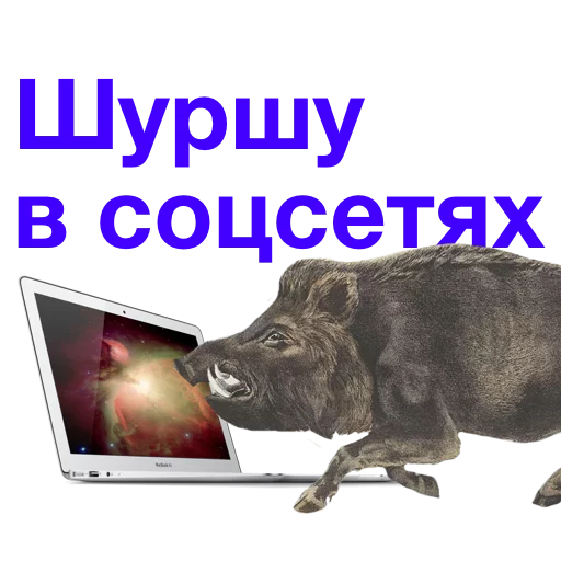 💻 Стикер «Kabanchikom» для Telegram