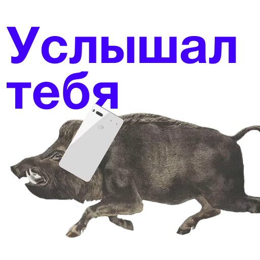 📲 Стикер «Kabanchikom» для Telegram