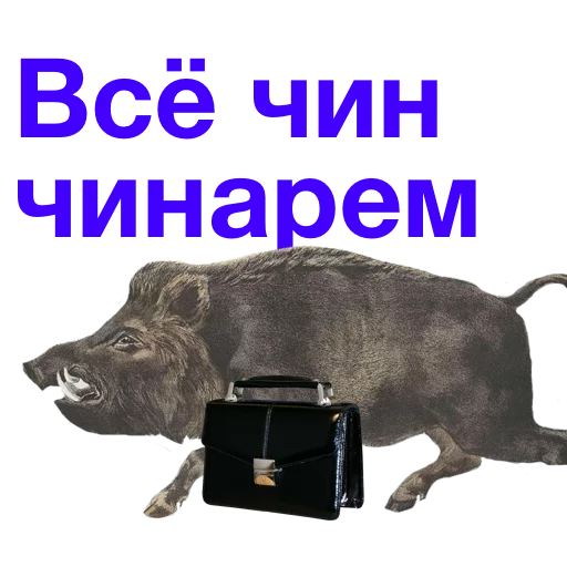 🌝 Стикер «Kabanchikom» для Telegram
