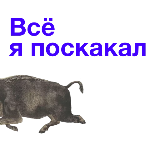 ⛹ Стикер «Kabanchikom» для Telegram