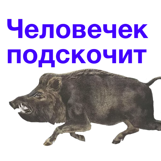 👨 Стикер «Kabanchikom» для Telegram