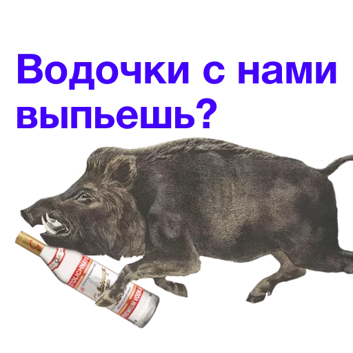 🥃 Стикер «Kabanchikom» для Telegram