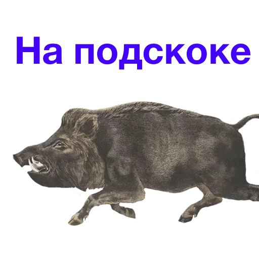 🏎 Стикер «Kabanchikom» для Telegram